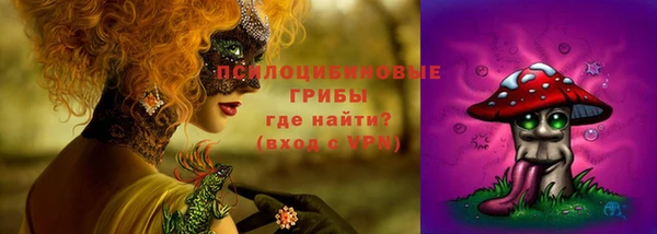 хмурый Арсеньев