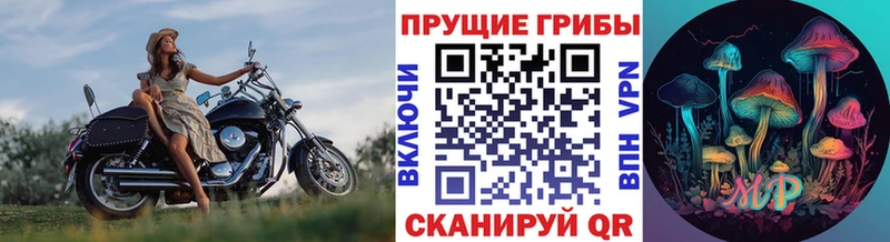 OMG ТОР  Горняк  Галлюциногенные грибы Psilocybe 